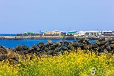 푸른 풍경 담긴 우도의 명소 탐방