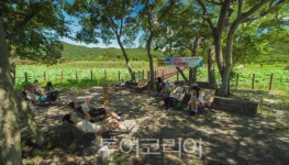 강진군 병영면, 지역 활성화 성공 모델 전국 각지서 주목