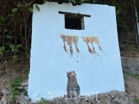 동해시, 논골담 등대오름길 벽화 새단장