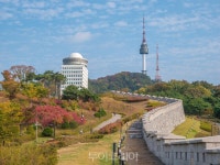 11월엔 단풍 정취 가득한 서울 남산둘레길 가을 소풍 어때요?