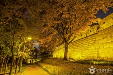 예술의 향기와 미식의 즐거움, 대학로와 낙산공원에서 만나는 하루