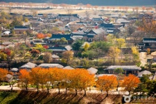 600년 풍류가 흐르는 안동하회마을, 전통과 자연의 조화로운 고장