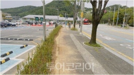 대전관광공사, 쾌적한 공원 이용 엑스포과학공원 탈바꿈