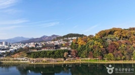 밀양, 역사와 자연이 빚어낸 다채로운 매력 탐방