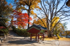 아이와 함께 즐기는 여주 명소 여행, 자연 속 체험과 배움의 시간