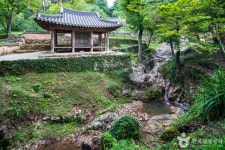 담양의 가을 정취, 대나무 숲과 전통 정원이 어우러진 힐링 여행