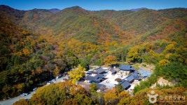 부산 기장, 가을 숲과 바다에서 만나는 자연 속 힐링 여행