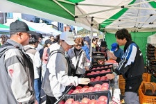 정선사과축제 8~9일 임계면서 개최