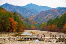 설악의 품에서 즐기는 자연과의 교감, 인제 가을 여행 명소