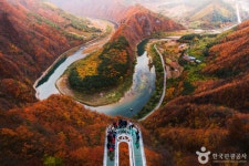 첩첩산중 정선의 매력, 가을빛으로 물든 풍경 속으로 떠나는 기행