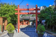 용인 가볼 만한 곳, 고요한 식물원과 미식이 어우러진 가을날의 여정