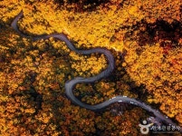 춘천 가을에서 찾은 여유와 문화 기행