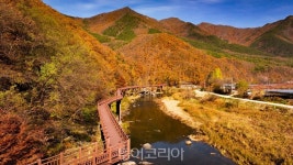 영동 월류봉 둘레길·금강둘레길 명품 힐링 걷기 코스로 인기