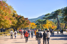 온천·카페·달콤 체험까지, 속초 감성 여행