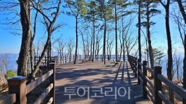 태백에 눈꽃이 피어나면 겨울 동화가 시작된다!