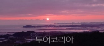 경기 바다향기수목원에서 올 한해 마무리 하세요!