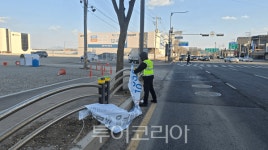 김포시, 강풍 대비 위험 광고물 긴급 정비... 시민 안전 확보 총력