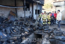 김영록 전남도지사, 광양 옥곡 산불 현장 출동···현장 지휘 구슬땀