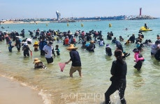 고래불해변부터 강구항까지…영덕 바다가 여름 여행객을 부른다
