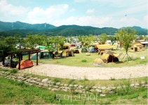 한탄강 바람, 꽃밭, 그리고 DMZ…철원에서 보내는 초여름 산책