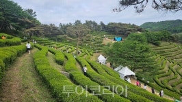 보성군, 대한민국 식품명인 추가 배출로 녹차수도 위상 높인다! 