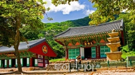 놀이부터 국악·와인·금강까지…올여름 가족여행은 영동이 정답