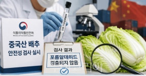 식약처, 중국산 배추 8건 긴급검사…포름알데히드 '불검출'