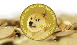 (종합)외신 도지코인(DOGE) 50% 이상 급등한 이유는 틱톡 영상 덕?