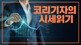 [코리 기자의 시세 읽기]12일 주춤하는 비트코인,11,300달러선 후퇴...향후 전망은?