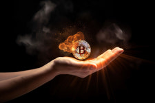 비트코인 안전자산 아냐?...블랙스완 저자 BTC, 자체적으로 취약한 상품