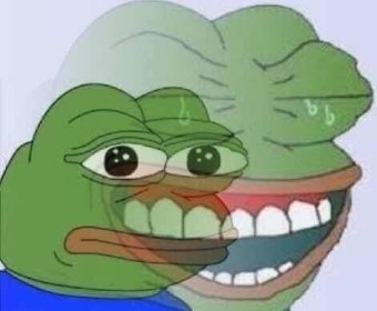 "개구리 테마 밈코인 '페페', 고래 세력 보유량 압도적...PEPE 가격에 큰 영향"