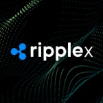 리플 CTO, XRP 급락 속 유머러스한 반응 화제…리플X, 테스트넷 리셋 예고