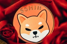 시바이누(SHIB), 0.00004달러 돌파 가능? 소각률과 거래량 증가 주목