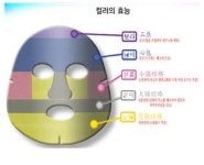[힐링페어 2019] 약초생활건강, 힐링 칼라 마스크팩 눈길