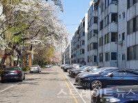 [현장 포토] 래미안 가세로 화사함을 더하는 반포3주구 봄꽃