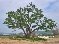 [분양 현장] 유치원·초등학교가 한걸음 양주회천신도시 금강펜테리움