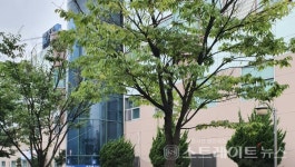 [분양 현장] 난개발·대단지 느낌 동시…신동탄 롯데캐슬 나노시티 주변