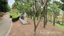 [분양 현장] 울산 원도심 재개발 단지 번영로 센트리지 주변