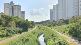 대전 호반써밋 유성 당첨 컷 46점…고가점자 갑천1 트리플시티 몰릴 듯