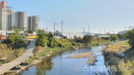 [르포] 삼성효과 수원영통-화성동탄 라인, 신규 분양 불패 행진