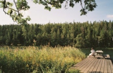 [힐링코리아 365] 숲으로 떠나는 여행