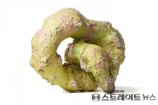 한국도자재단, 2021 경기세계도자비엔날레 국제공모전