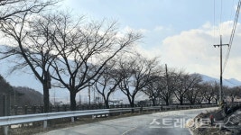 [분양 현장] 금산천 북쪽의 과거 공장터에 짓는 e편한세상 금산 프라임포레