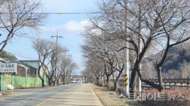 [분양 현장] 금산천 북쪽의 과거 공장터에 짓는 e편한세상 금산 프라임포레
