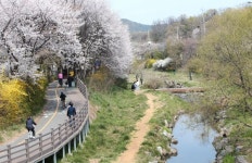 인천 남동구, 설 연휴 하천·사업장 내 환경오염 예방 특별 감시활동 추진