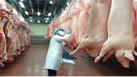 인천시, 철저한 원료 축산물 검사 실시 계획 