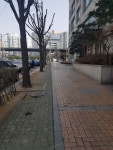 인천 남동구, 간석오거리역 부근 생활쓰레기 방치 개선