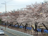 [분양 현장] 안락역초역세권이 강점만이 아닌 안락 스위첸