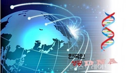 [이슈 &] 포스트 코로나의 길, 글로벌 인터넷 비즈니스 강국 코리아 ②