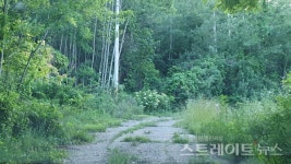 [분양 현장] 봉담 자이 프라이드시티, 폐광산-송전탑-고속철 등이 멀지 않은 곳에…